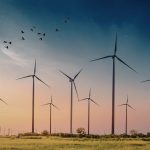 Parque eólico con aerogeneradores en funcionamiento en entorno natural al atardecer con aves en vuelo