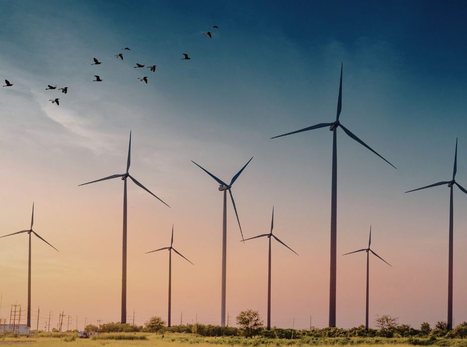 Parque eólico con aerogeneradores en funcionamiento en entorno natural al atardecer con aves en vuelo