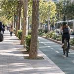 Una persona camina y otra circula en bicicleta por una calle arbolada con carril bici y transporte público.